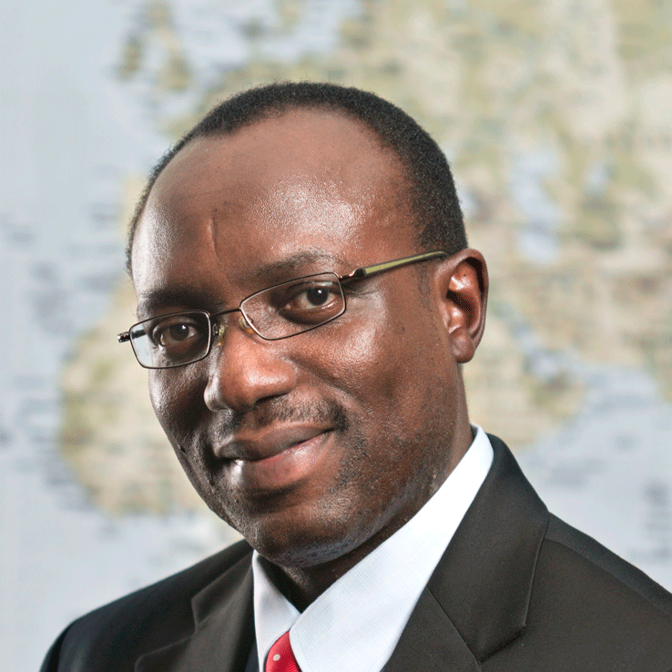 Photo of Olusegun O. Soge