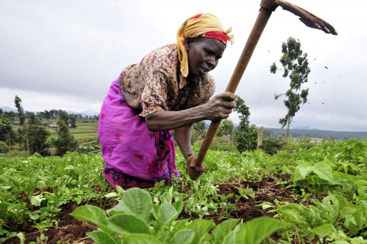 Photo of a farmer