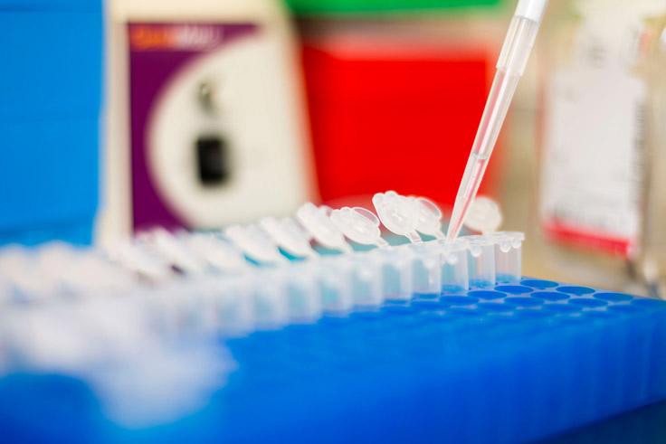 Pipets in Pathobiology lab