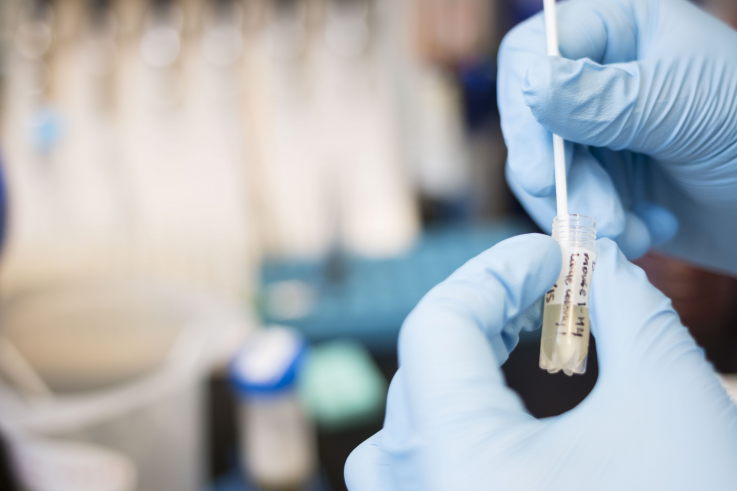 Photo of lab testing