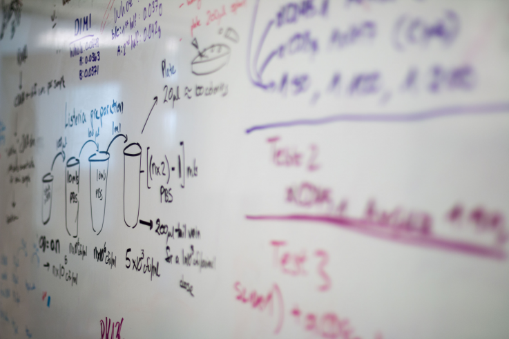 A photo of a white board with lab instructions