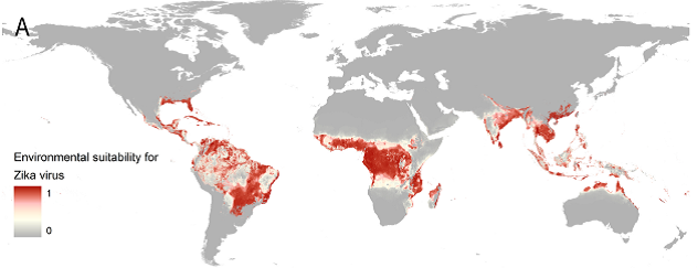 Zika map Zika map
