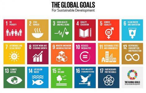 A graphic of the 17 sustainable development goals