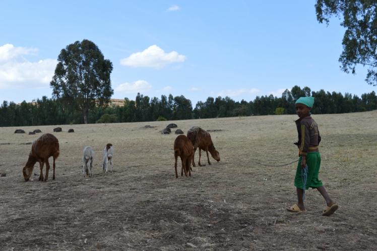 Shepherd outside a clinic in Ayemba clinic, Ethiopia