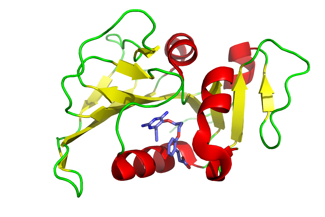 Photo of mycobacterium tuberculosis protein structure