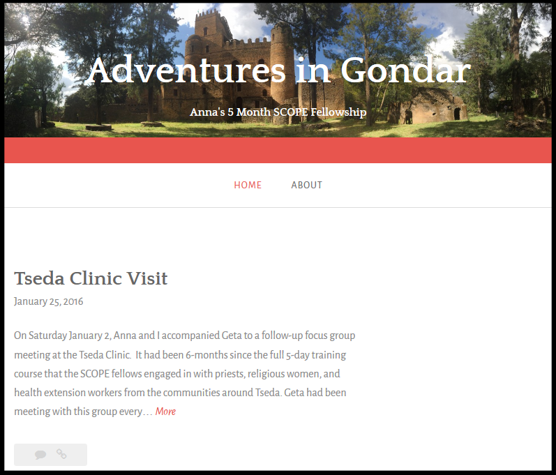 Screenshot of Adventures in Gondar Blog