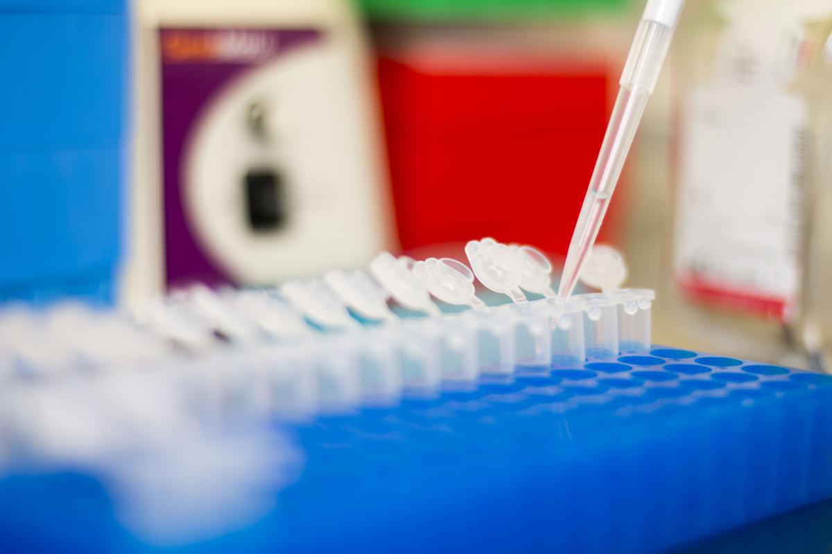Photo of polymerase chain reaction (PCR) test tubes in a lab