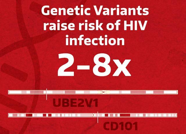 Genetic variants raise risk of HIV infection by two- to eight-fold