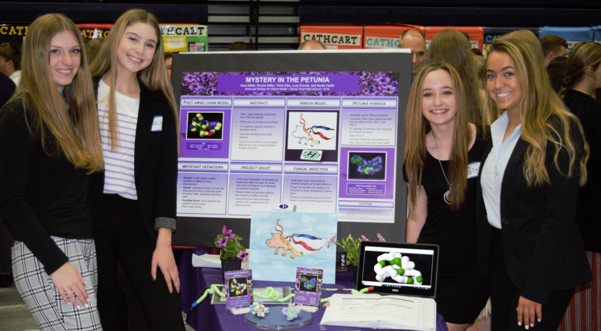 The Mystery in the Petunia Group Presents Their Research