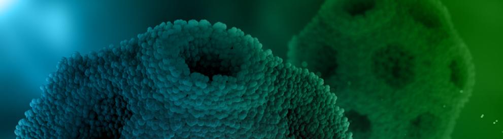 Photo of virus cells