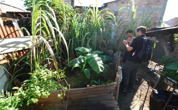 Jorge "Coco" Alarcon inspects a garden in Peru